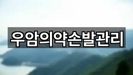 강원 원주 봉산동 에스테틱 맞춤 추천 5곳