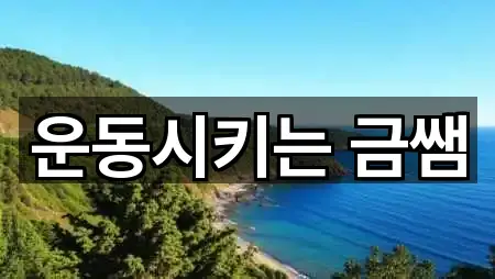 운동시키는 금쌤