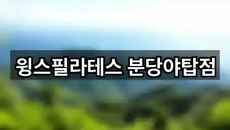 윙스필라테스 분당야탑점