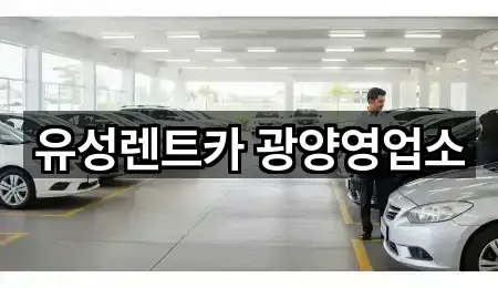 전라남도 광양시 광양읍 렌트카 신규/인기 5곳