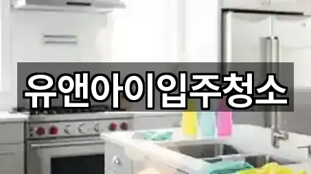 유앤아이입주청소
