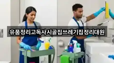 경북 선기동 청소 지금 찾기 5곳