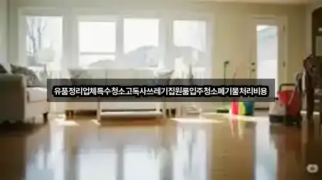 유품정리업체특수청소고독사쓰레기집원룸입주청소폐기물처리비용