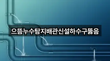 으뜸누수탐지배관신설하수구뚫음