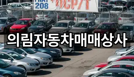 충북 대랑동중고차 지도에서 보기 4곳