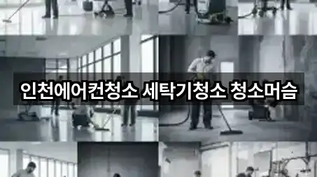 불로동 청소업체 5곳 위치 점검