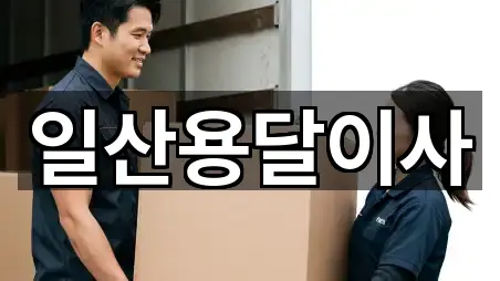 주소로 보는 식사동 용달이사 · 5곳