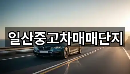 경기도 고양시 덕양구 화정동 중고차 위치/연락처 한 번에 5곳