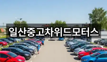 일산중고차위드모터스