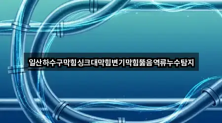 일산하수구막힘싱크대막힘변기막힘뚫음역류누수탐지