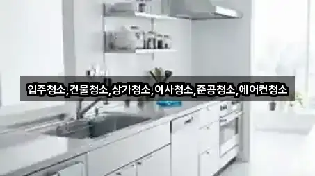 경기도 고양시 일산동구 마두동 상가청소 5곳 위치 한눈정리