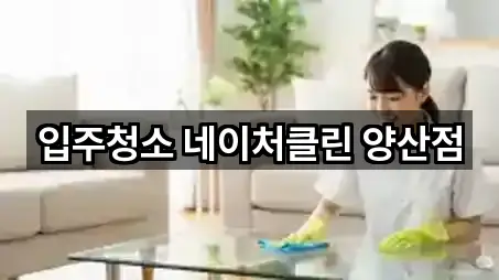 양산시 평산동 청소 빠른 예약 5곳