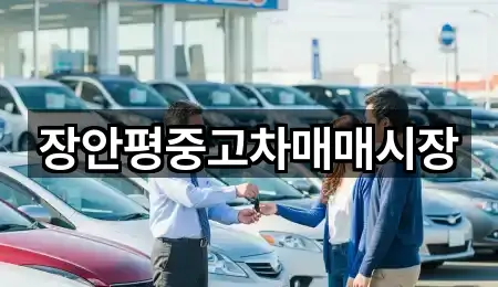 장안평중고차매매시장