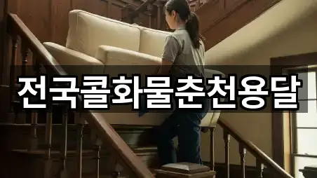 전국콜화물춘천용달