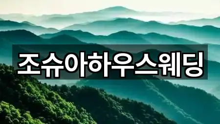 조슈아하우스웨딩