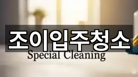 조이입주청소