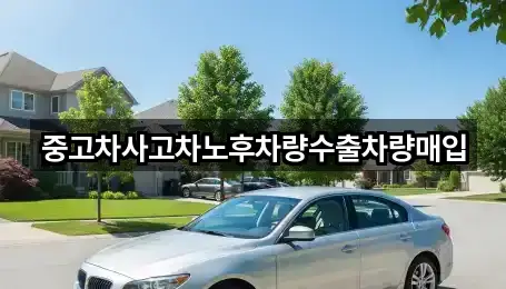 경기도 여주 천송동 중고차 새로 추가 5곳