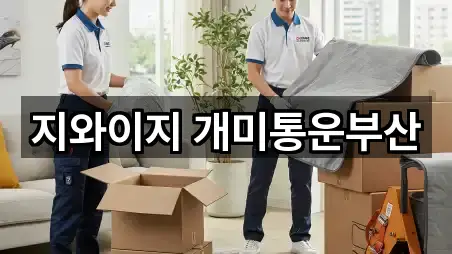 지금 인기 동광동3가 포장이사 4곳