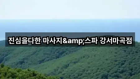 진심을다한 마사지&스파 강서마곡점