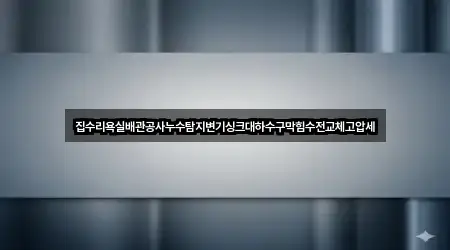 집수리욕실배관공사누수탐지변기싱크대하수구막힘수전교체고압세