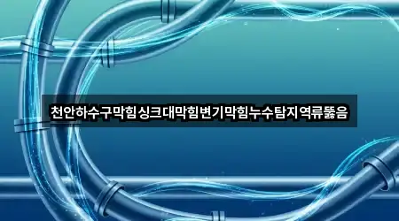 천안하수구막힘싱크대막힘변기막힘누수탐지역류뚫음