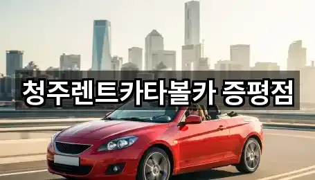 도안면 장기렌트카 최신 리스트 2곳