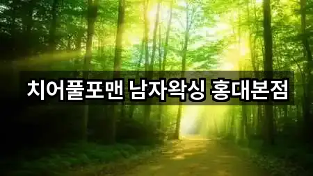 치어풀포맨 남자왁싱 홍대본점