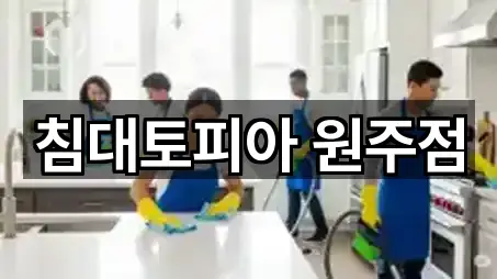 지금 주변의 횡성군 청소업체 5곳