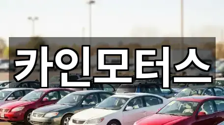 주소로 GO: 서울 중구 필동2가 중고차 4곳