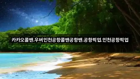카카오콜밴.우버인천공항콜밴공항밴.공항픽업.인천공항픽업