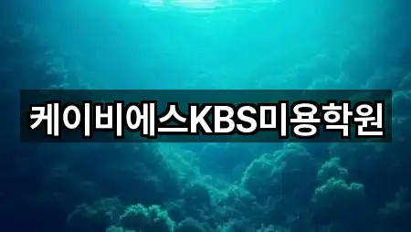 케이비에스KBS미용학원