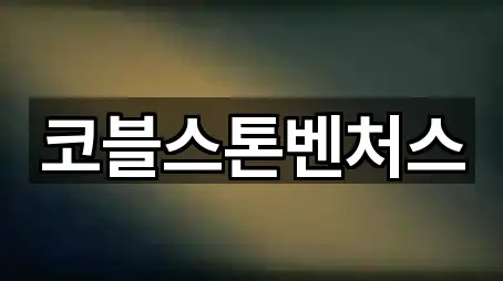 코블스톤벤처스