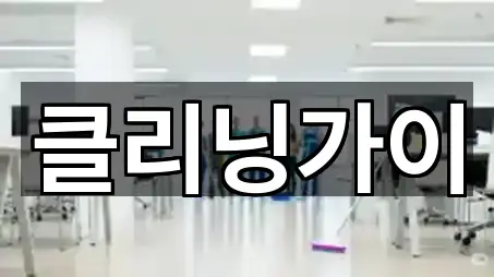 클리닝가이