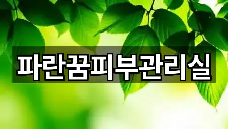 전남 나주시 이창동 에스테틱 바로 보기 4곳