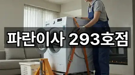 파란이사 293호점