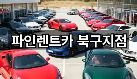 파인렌트카 북구지점
