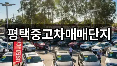 비용 확인: 경기도 비전동 중고차 4곳