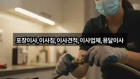 즉시 지도: 지평면 포장이사 2곳