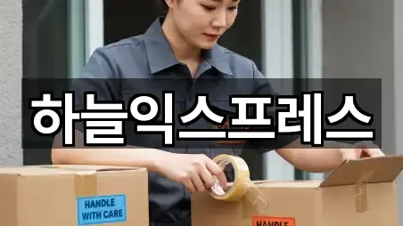 하늘익스프레스