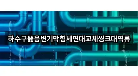 하수구뚫음변기막힘세면대교체씽크대역류
