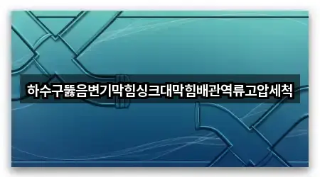 하수구뚫음변기막힘싱크대막힘배관역류고압세척