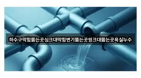 하수구막힘뚫는곳싱크대막힘변기뚫는곳씽크대뚫는곳욕실누수