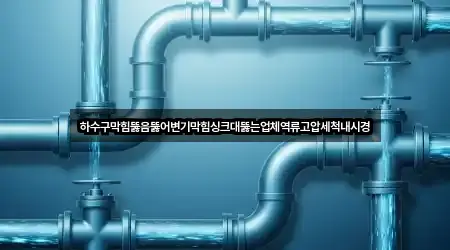 하수구막힘뚫음뚫어변기막힘싱크대뚫는업체역류고압세척내시경