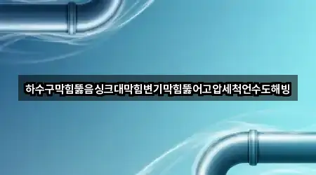 하수구막힘뚫음싱크대막힘변기막힘뚫어고압세척언수도해빙