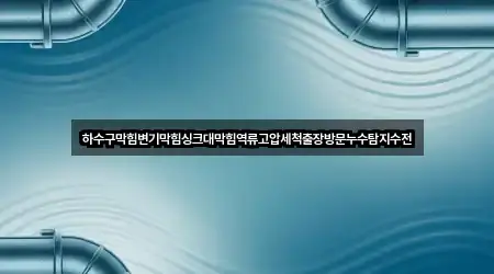 하수구막힘변기막힘싱크대막힘역류고압세척출장방문누수탐지수전