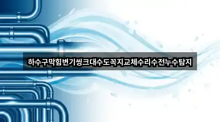 하수구막힘변기씽크대수도꼭지교체수리수전누수탐지