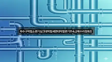 하수구막힘소변기싱크대막힘세면대막힘변기부속교체수리정화조