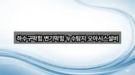 하수구막힘 변기막힘 누수탐지 오아시스설비