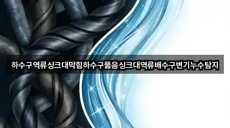 하수구역류싱크대막힘하수구뚫음싱크대역류배수구변기누수탐지