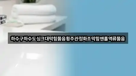 하수구하수도싱크대막힘뚫음횡주관정화조막힘맨홀역류뚫음